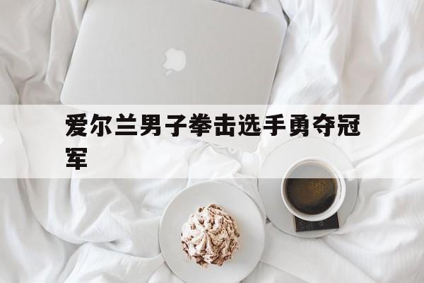 爱尔兰男子拳击选手勇夺冠军